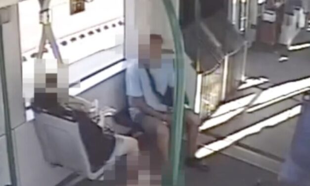 Döbbenet: fényes nappal rabolták ki a külföldi nőt a 6-os villamoson – Videón a sokkoló pillanatok