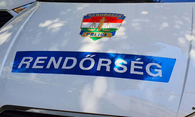 Elege lett a több éve tartó hangoskodásból, beindított láncfűrésszel próbált elégtételt venni szomszédjátón egy veszprémi férfi