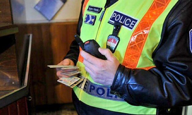 Nem zavarták a villogó rendőrautók – még vitatkozott is a zsarukkal az ittas sofőr, mielőtt bevitték volna a kapitányságra – videó