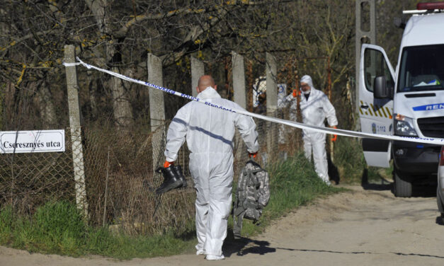 “Kiabáltunk neki, de nem szólt vissza senki. Miután beléptünk, szörnyű látvány fogadott” – többször betört már Ilonka nénihez a 14 éves fiú, aki végül kioltott az idős asszony életét
