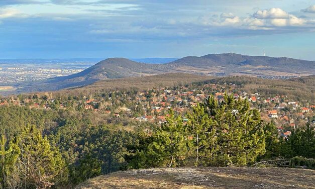 Családi kirándulóhely Budapest közelében: A Nagy-Szénás tanösvényen olyant láthatsz, amiről nem is álmodtál