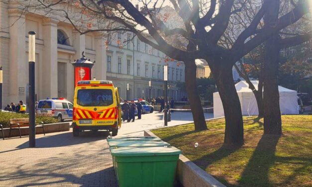 Késelés Budapesten: Családi házuk felújítására kellett a pénz, ezért költözött a fővárosba a 18 éves Martin