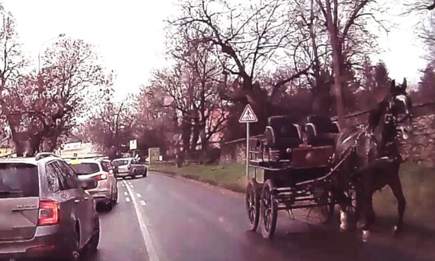 Elszabadult lovaskocsi keltett riadalmat Fóton, az állat a forgalommal szemben vágtázott – VIDEÓ