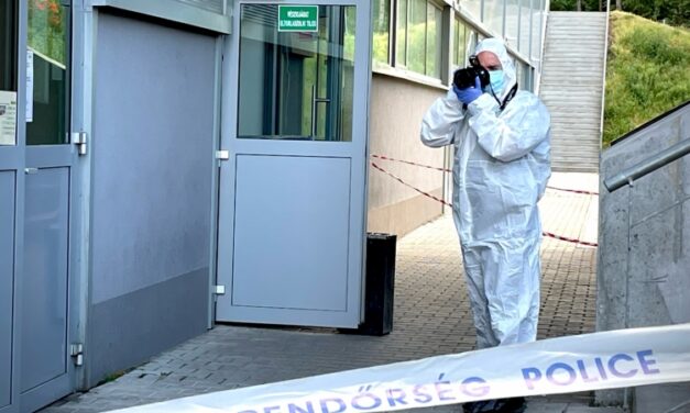 Erőszakos videójátékokkal játszott, majd brutálisan megölte a gyárban dolgozó munkatársnőjét egy 25 éves férfi Veszprémben