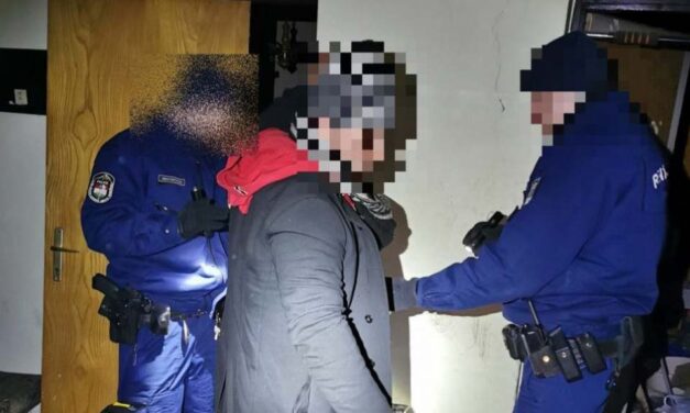 Krumplinyomóval és tortalapáttal ásta el el Kittit a házaspár – fény derült egy kilenc évvel ezelőtti gyilkosság részleteire, de nem találják a holttestet