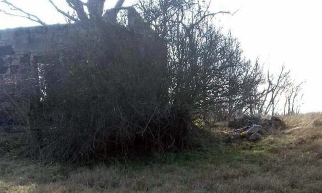 „Valaki biztosan szerette ezt az embert” – először az alsó-, majd a felsőtestét találta meg az áldozatnak az a férfi, aki először nem hitt a szemének. Hiányzik az állkapocs, nehéz lesz az azonosítás