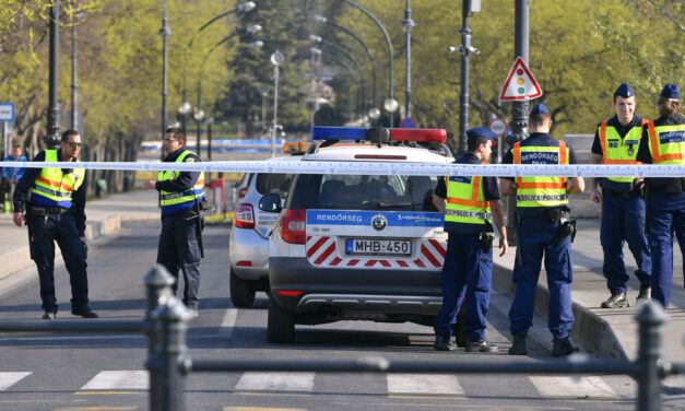 Kutyás gazdik figyelem! Mérgezik az ebeket a Margitszigeten, már a rendőrség is nyomoz