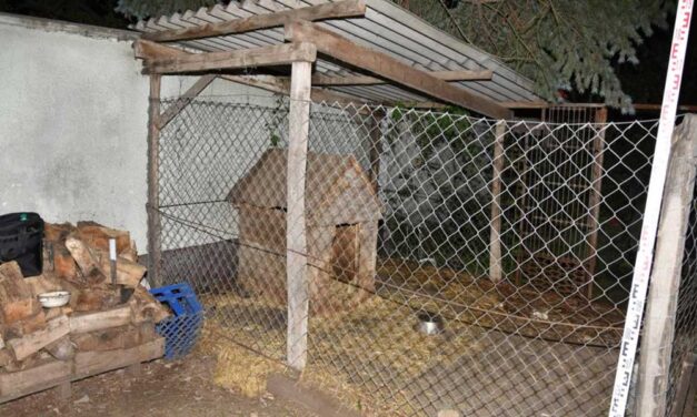 „Nyitva hagytam a kaput, nem gondoltam, hogy kiszökik” – amputálni kellett a karját annak az asszonynak, akit biciklizés közben támadt meg egy kutya