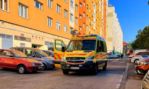 “Női test fölé hajol egy gyerek, aki sír, de közben szólítgatja is az anyját” – megszólalt a biztonsági őr, aki próbálta megmenteni a 8. emeletről kiugrott háromgyermekes édesanya életét