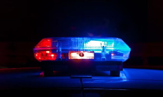 Bajba kerültek a fogvatartottak – rabszállító gázolt el egy szarvasbikát Kunfehértónál