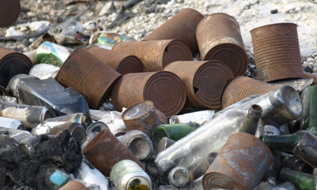 Körzeti megbízott buktatta le a férfit, aki az olasz maffia szemetét akarta lerakni Somogy vármegyében