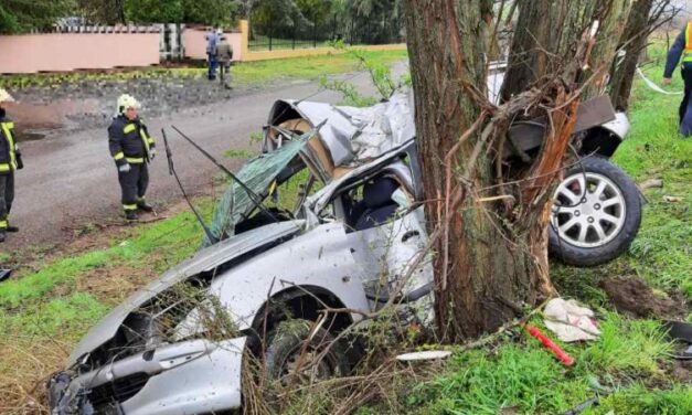 Megrázó tragédia: fának csapódott kocsijával és meghalt egy 22 éves nő Örkényben