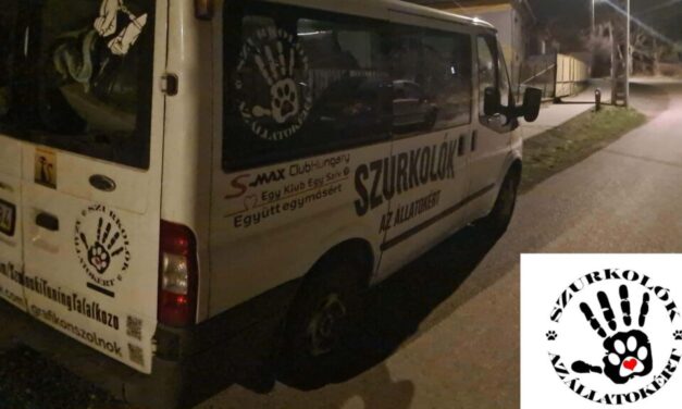 Állatkínzás Püspökszilágyon – egy tűzoltó végezhetett egy 81 éves nő kutyájával, Borisszal, akit mindenki szeretett településen