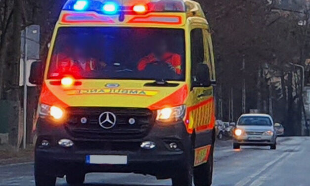 Így mentette meg a hős puli a gazdája életét: a mentők nem akartak hinni a szemüknek