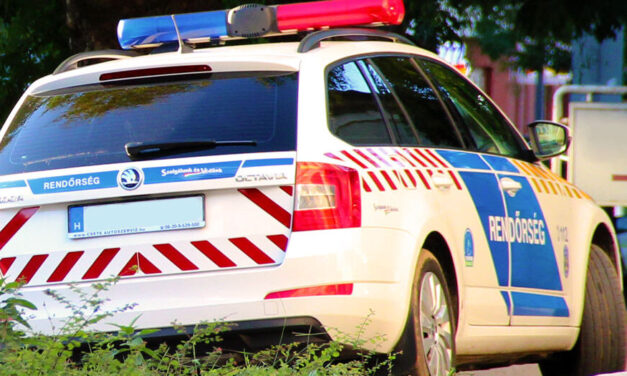 Nem engedelmeskedett a 2 éves gyermek, ezért verhette halálra a nevelőanyja Polgáron