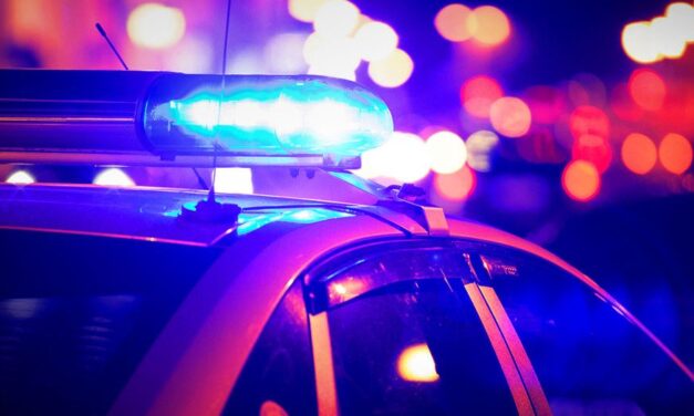 Razzia a fővárosi éjszakában – elfogták a „sarki fűszerest”, aki majoránnát és porcukrot adott el drogként