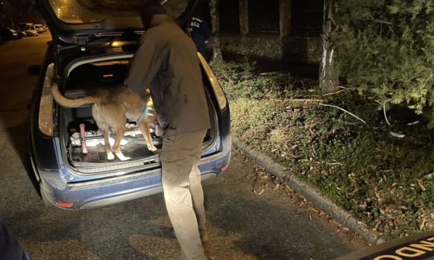 Éppen egy vásárlóval bizniszelt a budapesti díler, amikor rajtaütöttek a zsaruk: még a pénz is a kezében volt, amikor kattant a bilincs – videó