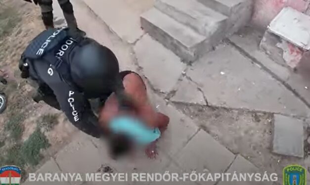 Döbbenetes: molotov koktél dobtak egy család házába Baranya megyében, ezért törtek az életükre – videó