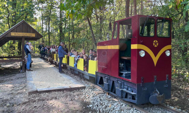 Szomorú hír érkezett: bizonytalan ideig nem jár menetrend szerint a gödöllői kisvasút