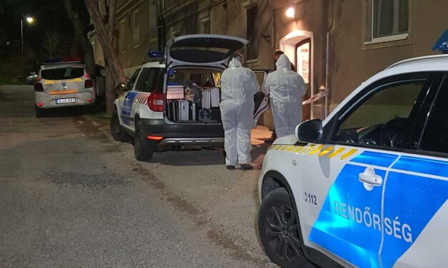 Sokkoló tragédia Várpalotán: kutyalánccal fojtotta meg magát az ötéves kisfiú