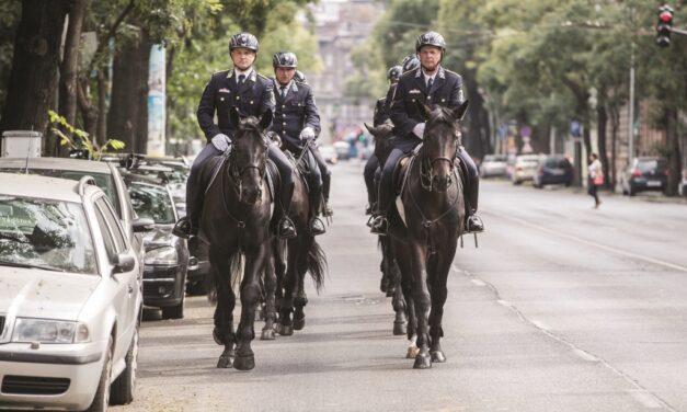 Ne lepődj meg, ha valami furcsát látsz a budai hegyekben