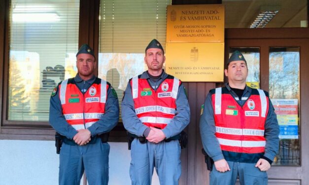 Autóra dőlt a fa – egy fiatal nő életéért küzdöttek a NAV-osok az 1-es főúton