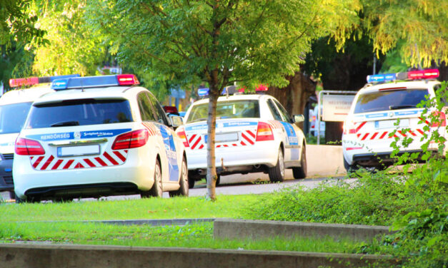 Döbbenetes fordulat a 2017-ben eltűnt villanyszerelő ügyében – Burgenlandban találhatták meg a koponyáját