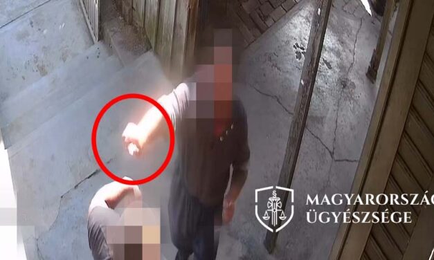 Éles eszközzel sebezte meg ismerőse nyakát egy férfi Somogy vármegyében, börtönbe kerülhet a visszaeső támadó