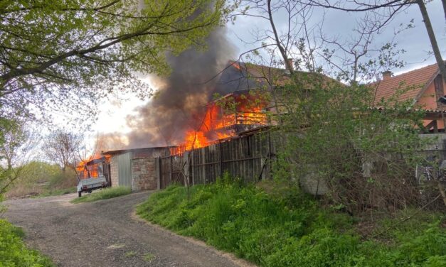 Végignézték gyermekük halálát a szülők Dabason – nem tudtak segíteni a 23 éves Barbarának és párjának