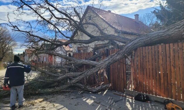 Szélvihar csapott le az agglomerációra, egymás után dőlnek ki a fák, utakat zárnak le