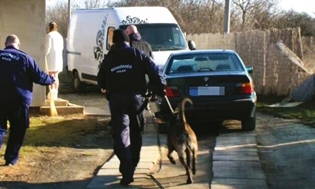 „Mintha egy horrorfilmbe csöppentem volna. Cafatokra tépték a lányomat” – 6 kutya támadt rá a 13 éves kislányra Zsámbékon, a településen több problémát okozta már a kóbor állatok