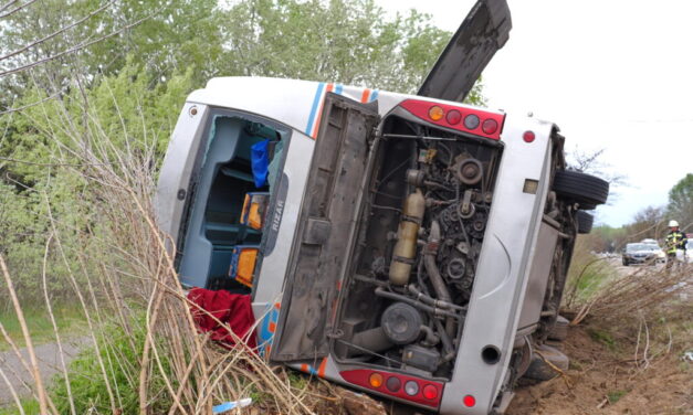 Árokba borult egy busz Kiskunhalasnál: 12 ember vittek kórházba – Drámai fotók a helyszínről