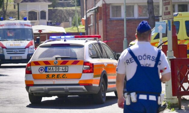 Letartóztattak egy embert a drogos magyar énekesnő ügyében – elképzelhető, hogy a fiatal művész vallomása segített a rendőröknek