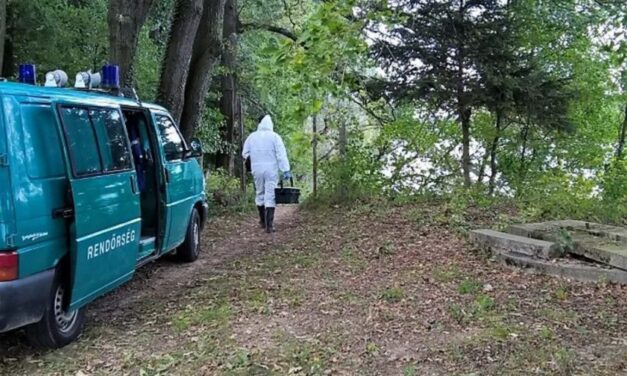 Megúszhatja a börtönt az a 18 éves barcsi fiú, aki kioltotta apja életét vadászat közben: Martin azt képzelte, hogy az apja az Antikrisztus