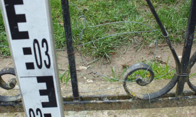 Átszökött hozzá a szomszéd kutyája, ásónyéllel verte agyon az idős férfi