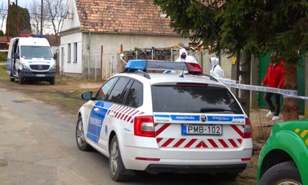 Vérfagyasztó krimi Érden: láncfűrésszel támadt édesapjára, a veteményesben akarta elásni