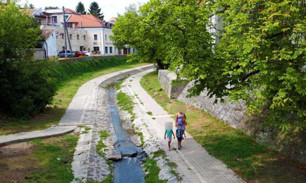 „Kolbászba tett patkánymérget találtunk az ajtómban” – nagy a felháborodás Szentendrén, nem csak a kutyákat, a gyermekeket is féltik a helyiek