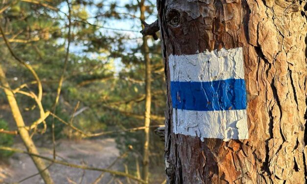 15 óra alatt mentették ki a magyar turistacsoport tagjait egy szakadékból a Radnai-havasokban