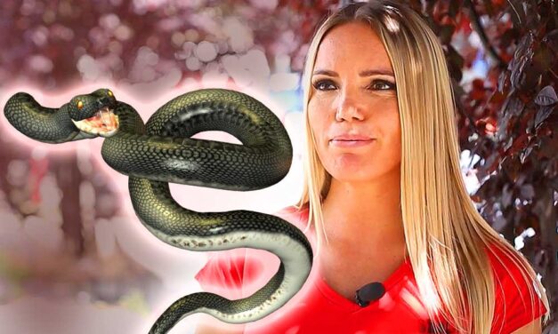 Eszméletlen állapotban törött csontokkal találtak rá a Való Világ sztárjára – csaknem belehalt, azóta viszont nagyot változott Béres Anett élete
