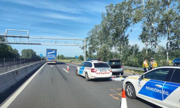 Megdöbbentő! Ököllel rendezte le a vitát egy autós az M2-esen! VIDEÓVAL