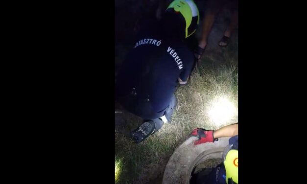 Tűzoltók mentették ki a csatornába zuhant Fannikát – videó