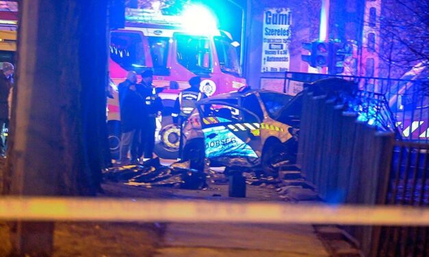 Teret neveztek el az elhunyt rendőrről Budapest 4. kerületében