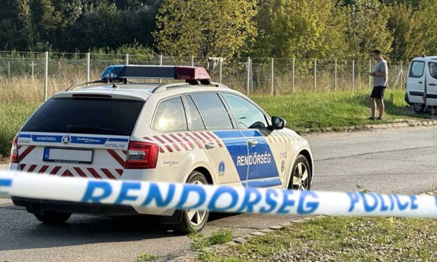 Előbb felmérte a terepet: idős nénit fosztottak ki Bács-Kiskunban – Sok milliót zsákmányolt a sietősen távozó tolvaj