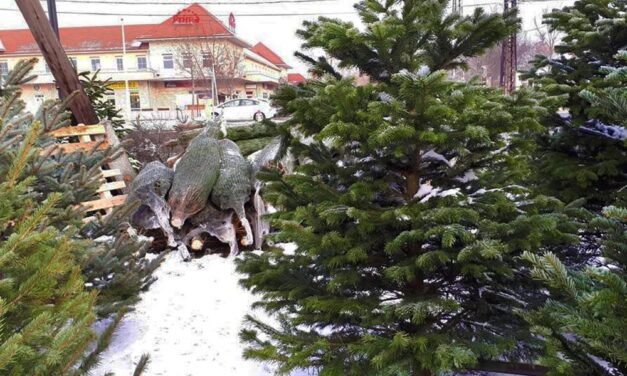 Rémálom a pesterzsébeti piacon: böllérkéssel rontott neki egy fenyőfaárúsnak az unokáját gyászoló férfi