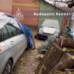 Éjjel szóltak nekünk, hogy megtalálták az én drága fiamat” – megszólalt M. Görgy édesanyja, a férfi holttestét és autóját Budapest környékén találták meg