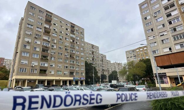 „A szívem szakadt meg, amikor közelebb értem és láttam, hogy egy fiatal lány fekszik ott mozdulatlanul…” – kiugrott a 7. emeletről és meghalt egy 26 éves lány Budapesten