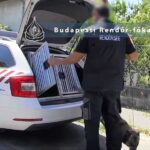 Lúzer drogkereskedők: egy családi veszekedés miatt hívták ki a rendőröket magukra, a zsaruk még a hűtőben is kábszert találtak