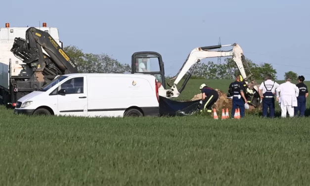 A Vértesi Erőmű korábbi elnöke, a milliárdos vállalkozó zuhant le Martonvásárnál, Besenyei Péter egykori repülőjével
