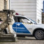 Egy hónapja indult el a pécsi gyermekotthonból iskolába, azóta senki nem látta a 12 éves Amirát – fotó a cikkben