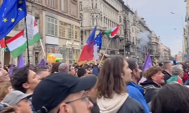 Tüntetés a Ferenciek terén: Hadházy Ákos utcára hívta az embereket, megbénult az Erzsébet híd környéke, a BKK járatai terelve közlekednek
